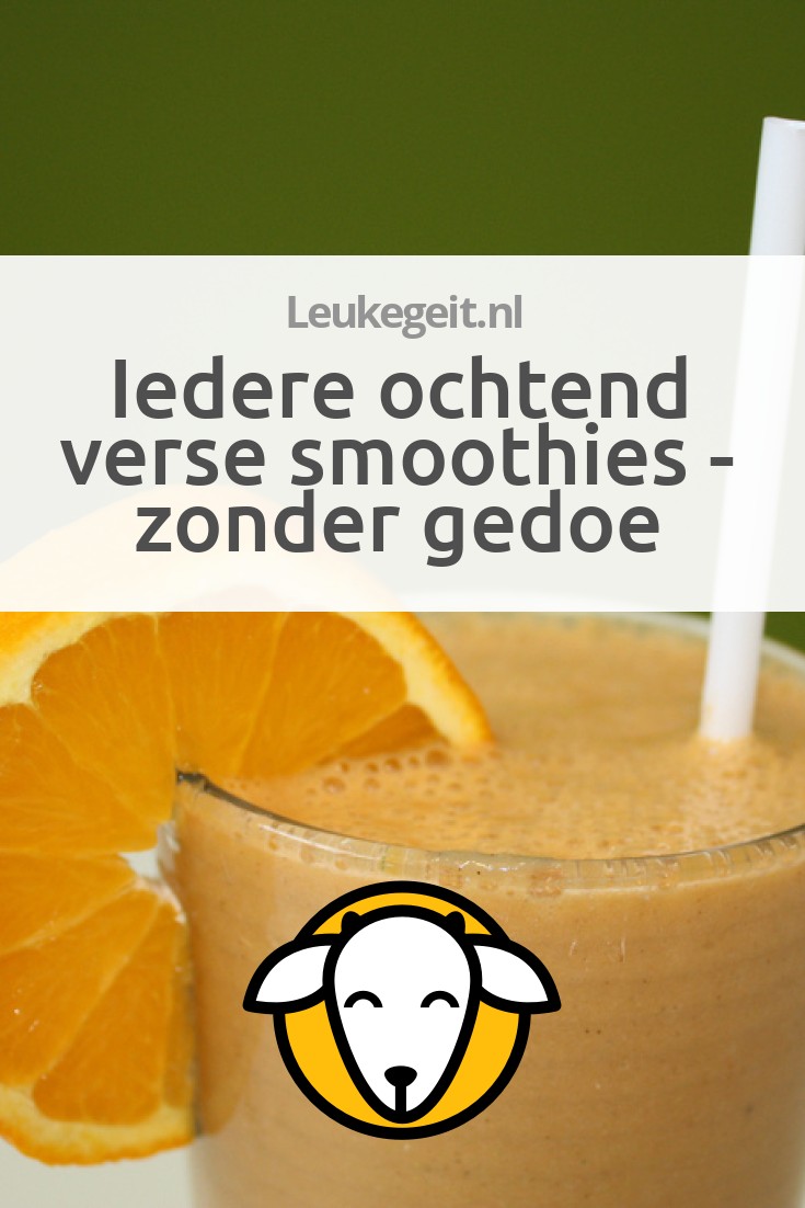 Iedere ochtend verse smoothies zonder gedoe Leukegeit