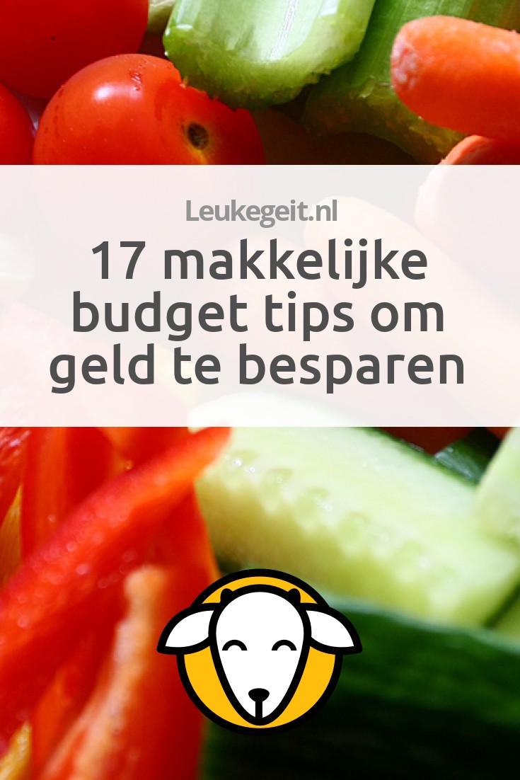 17 Makkelijke Budget Tips Om Geld Te Besparen - Leukegeit