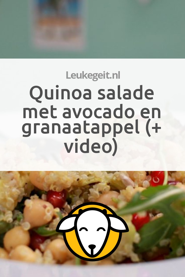 Quinoa Salade Met Avocado En Granaatappel Video Leukegeit