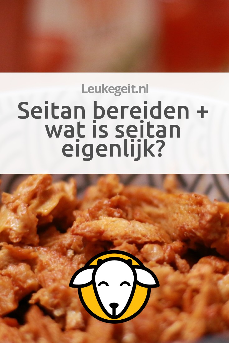 Seitan Bereiden Wat Is Seitan Eigenlijk Leukegeit