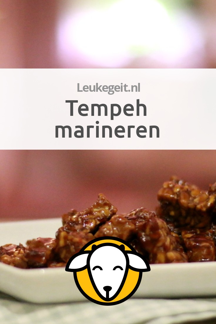 Tempeh marineren Leukegeit