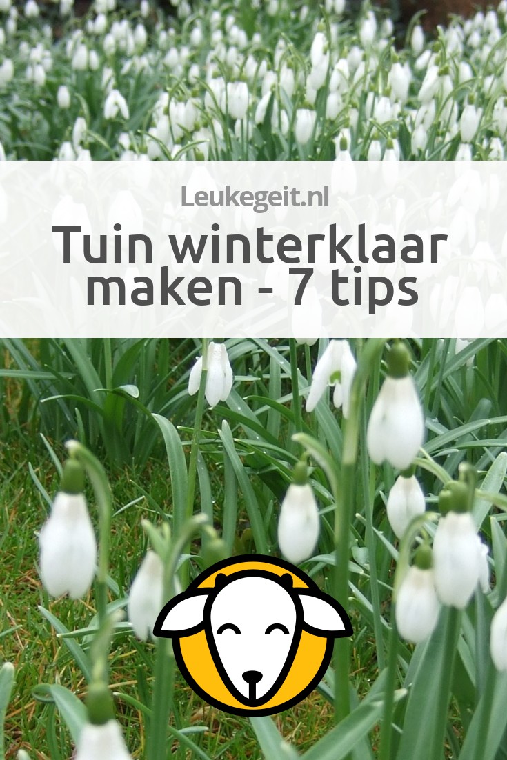 Tuin winterklaar maken 7 tips om je tuin winterklaar te maken