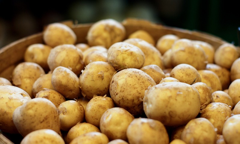 Natuurlijke verf – aardappels en kwark op je muren