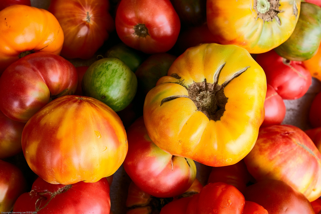 Supermarkt Safari: Verrassende Toeristengids
