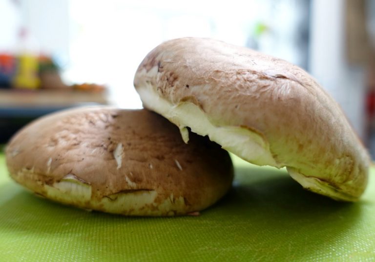 Portobello oven snacks gezond & zonder olie Leukegeit